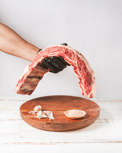 Toda la carne